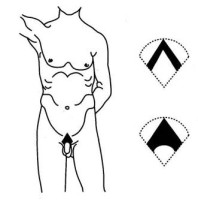 Интимные стрижки Интимные стрижки